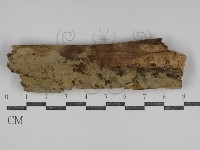 登錄號:F0031175藏品圖，第1張