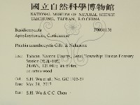 登錄號:F0031176藏品圖，第2張