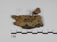 登錄號:F0031176藏品圖，第1張
