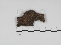 登錄號:F0031178藏品圖，第1張