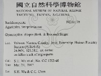 登錄號:F0031179藏品圖，第2張