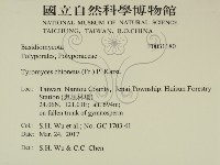 登錄號:F0031180藏品圖，第2張