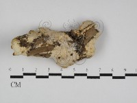登錄號:F0031180藏品圖，第1張