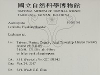 登錄號:F0031181藏品圖，第2張