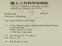 登錄號:F0031182藏品圖，第2張