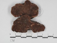 登錄號:F0031183藏品圖，第1張
