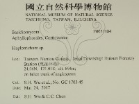 登錄號:F0031184藏品圖，第2張