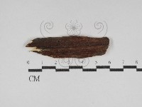 登錄號:F0031184藏品圖，第1張