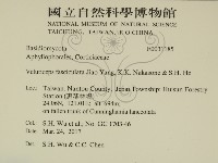 登錄號:F0031185藏品圖，第2張