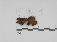 登錄號:F0031185藏品圖，第1張