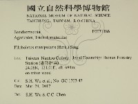 登錄號:F0031186藏品圖，第2張