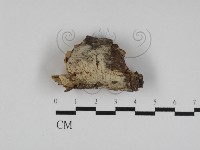 登錄號:F0031187藏品圖，第1張