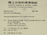 登錄號:F0031190藏品圖，第2張