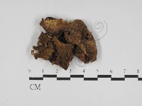 登錄號:F0031190藏品圖，第1張