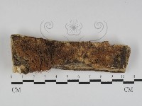 登錄號:F0031192藏品圖，第1張