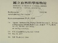 登錄號:F0031193藏品圖，第1張