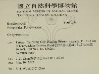 登錄號:F0031194藏品圖，第2張