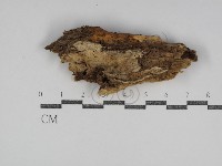 登錄號:F0031194藏品圖，第1張