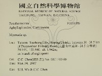 登錄號:F0031195藏品圖，第2張