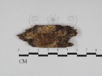 登錄號:F0031195藏品圖，第1張