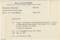 登錄號:F0031195藏品圖，第3張