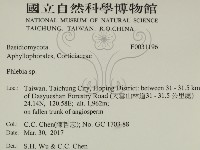 登錄號:F0031196藏品圖，第2張