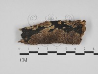 登錄號:F0031197藏品圖，第1張