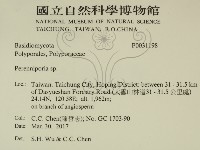 多年臥孔菌屬藏品圖，第2張