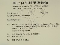 登錄號:F0031199藏品圖，第2張