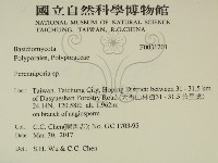 多年臥孔菌屬藏品圖，第2張