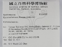 刺革菌屬藏品圖，第2張