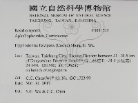 登錄號:F0031203藏品圖，第2張