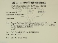 紅菇屬藏品圖，第2張