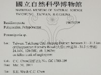 多年臥孔菌屬藏品圖，第2張