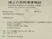 登錄號:F0031210藏品圖，第2張