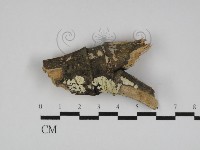 登錄號:F0031210藏品圖，第1張