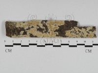 登錄號:F0031211藏品圖，第1張