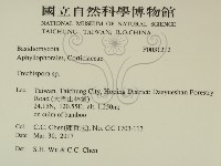 登錄號:F0031212藏品圖，第2張