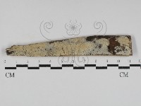 登錄號:F0031212藏品圖，第1張