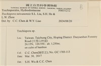 登錄號:F0031212藏品圖，第3張