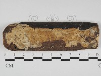 登錄號:F0031213藏品圖，第1張