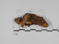 登錄號:F0031214藏品圖，第1張