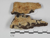 登錄號:F0031215藏品圖，第1張