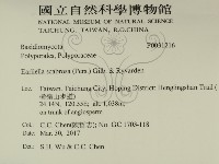 登錄號:F0031216藏品圖，第2張