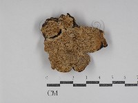 登錄號:F0031216藏品圖，第1張