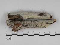 登錄號:F0031219藏品圖，第1張