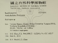 登錄號:F0031220藏品圖，第2張