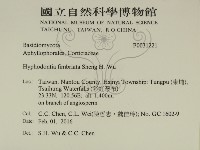 登錄號:F0031221藏品圖，第2張