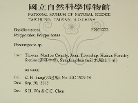 多年臥孔菌屬藏品圖，第2張