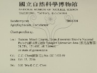 登錄號:F0031224藏品圖，第2張